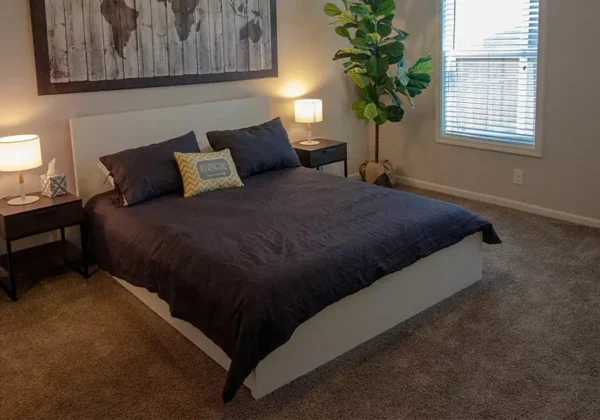 most ideal spaces to have carpets in your home