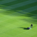 Artificial Grass